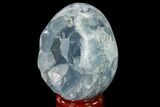 Crystal Filled Celestine (Celestite) Egg Geode - Madagascar #140307-3